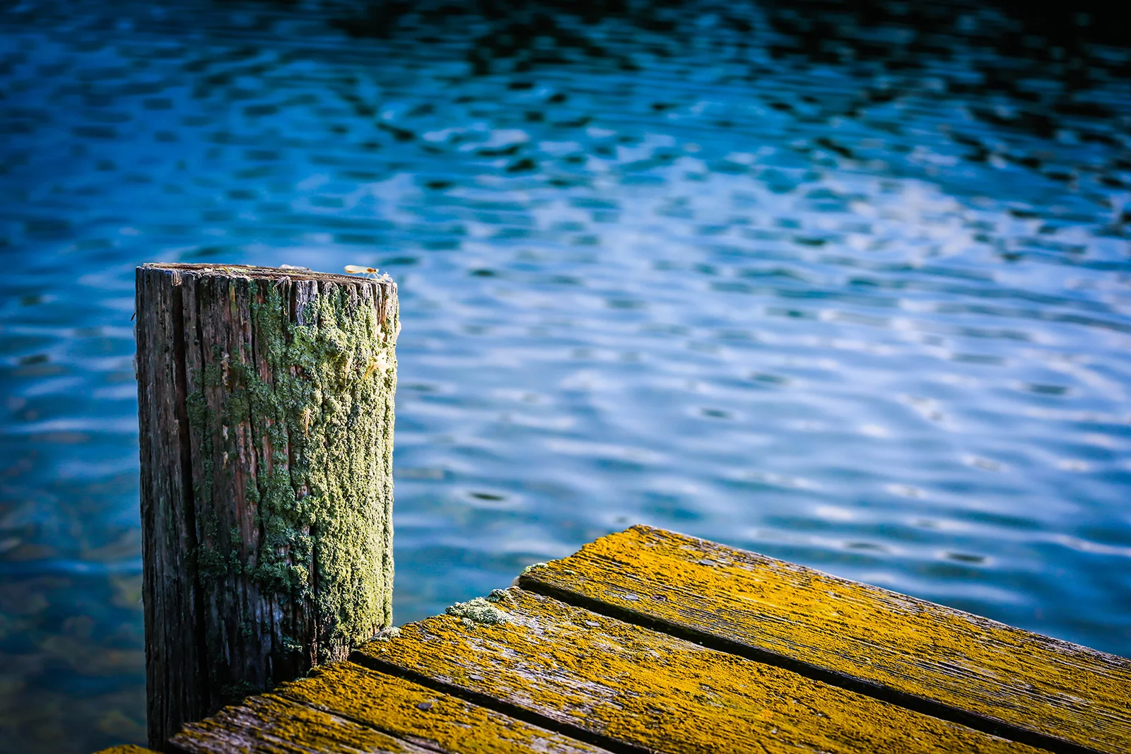 upnorth_1 (7 of 1).jpg