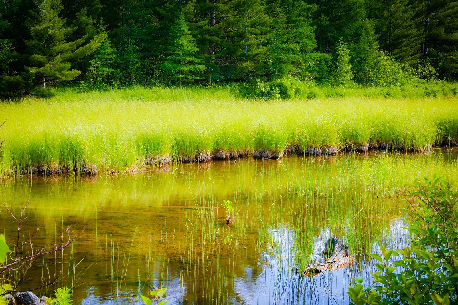 upnorth_1 (13 of 1).jpg
