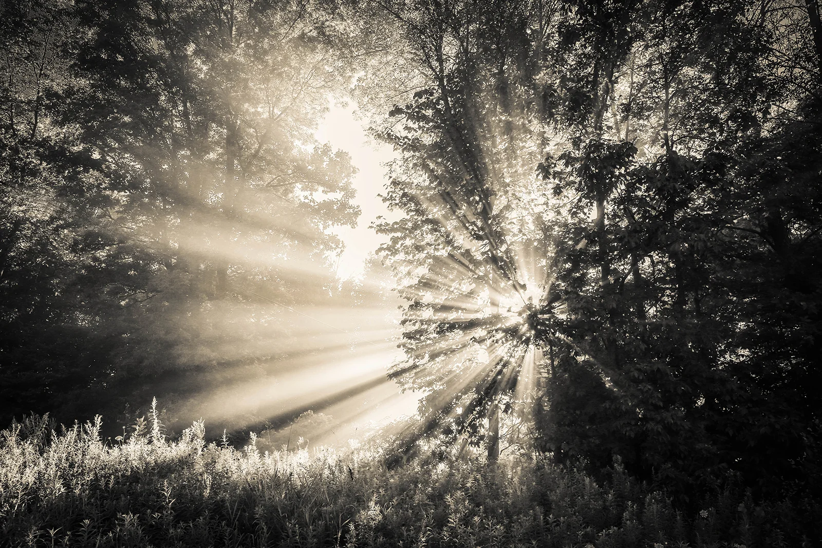 sunrise_blog_3.jpg