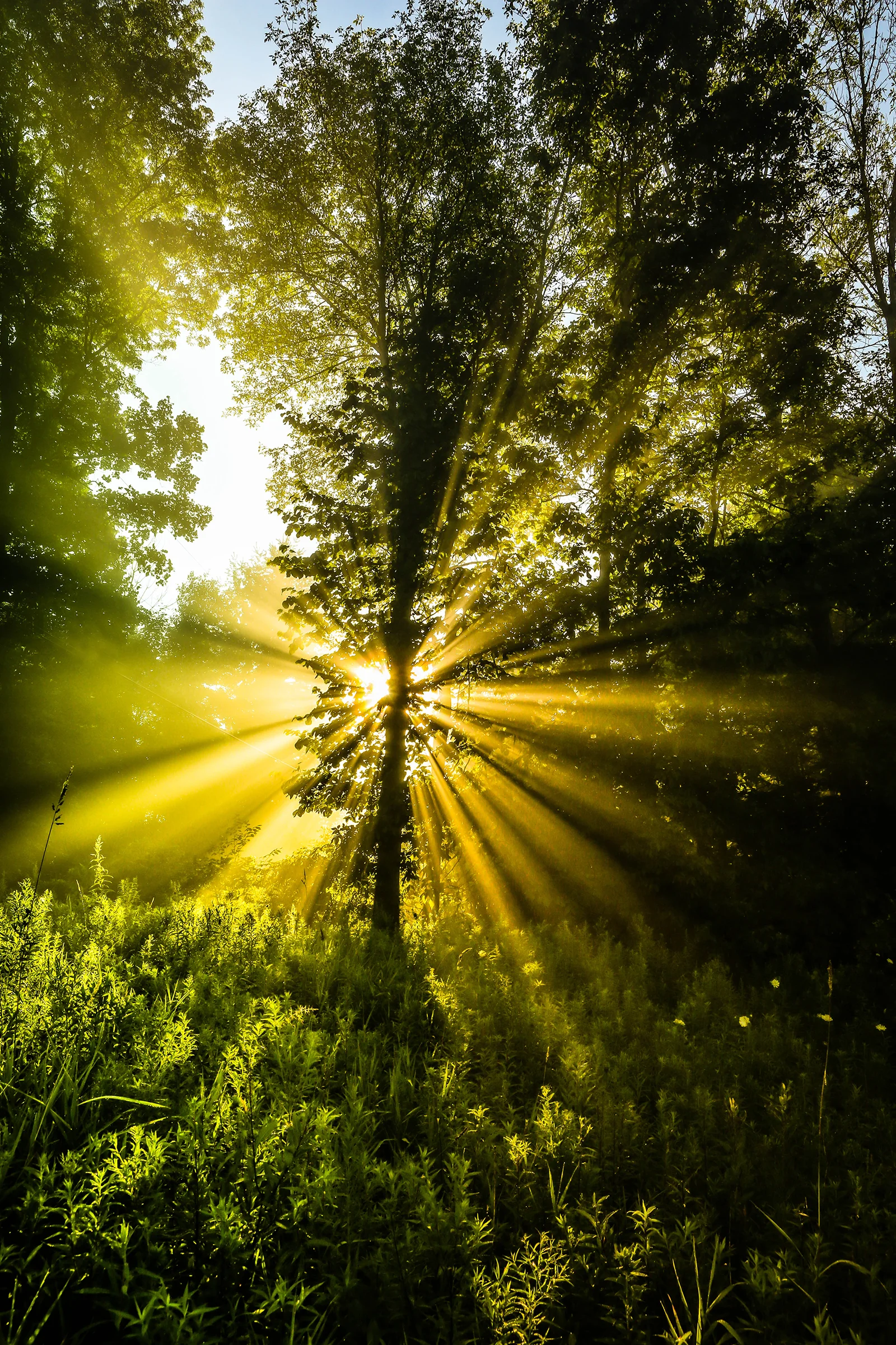 sunrise_blog_2.jpg