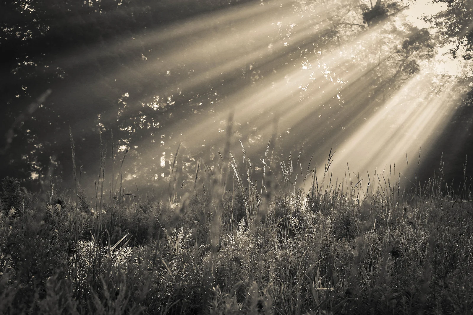 sunrise_blog_1.jpg