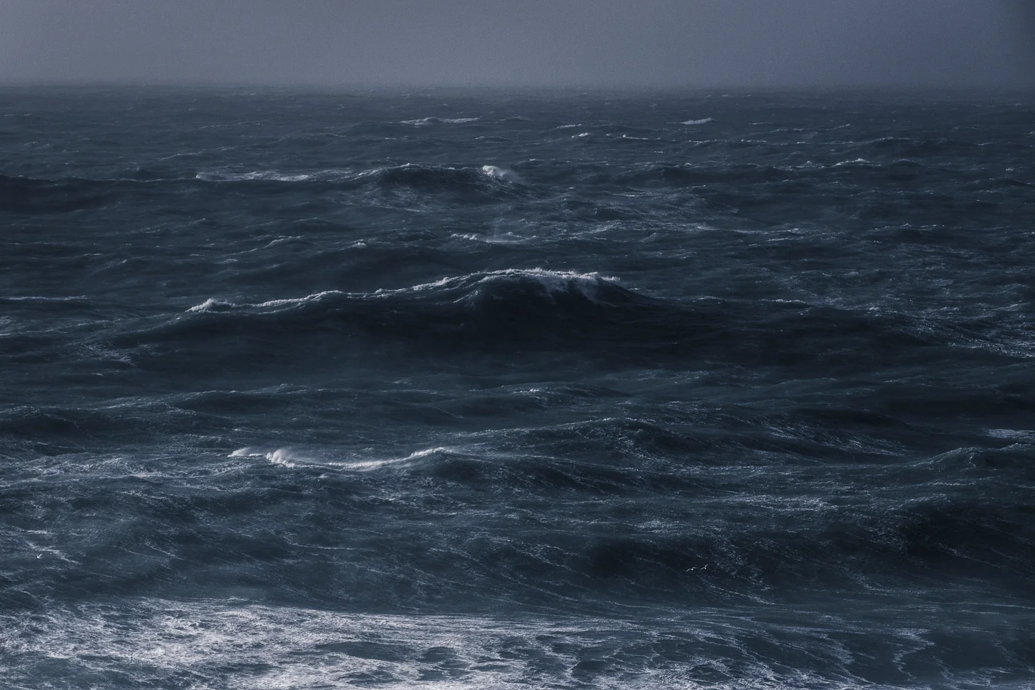 Winter Swells