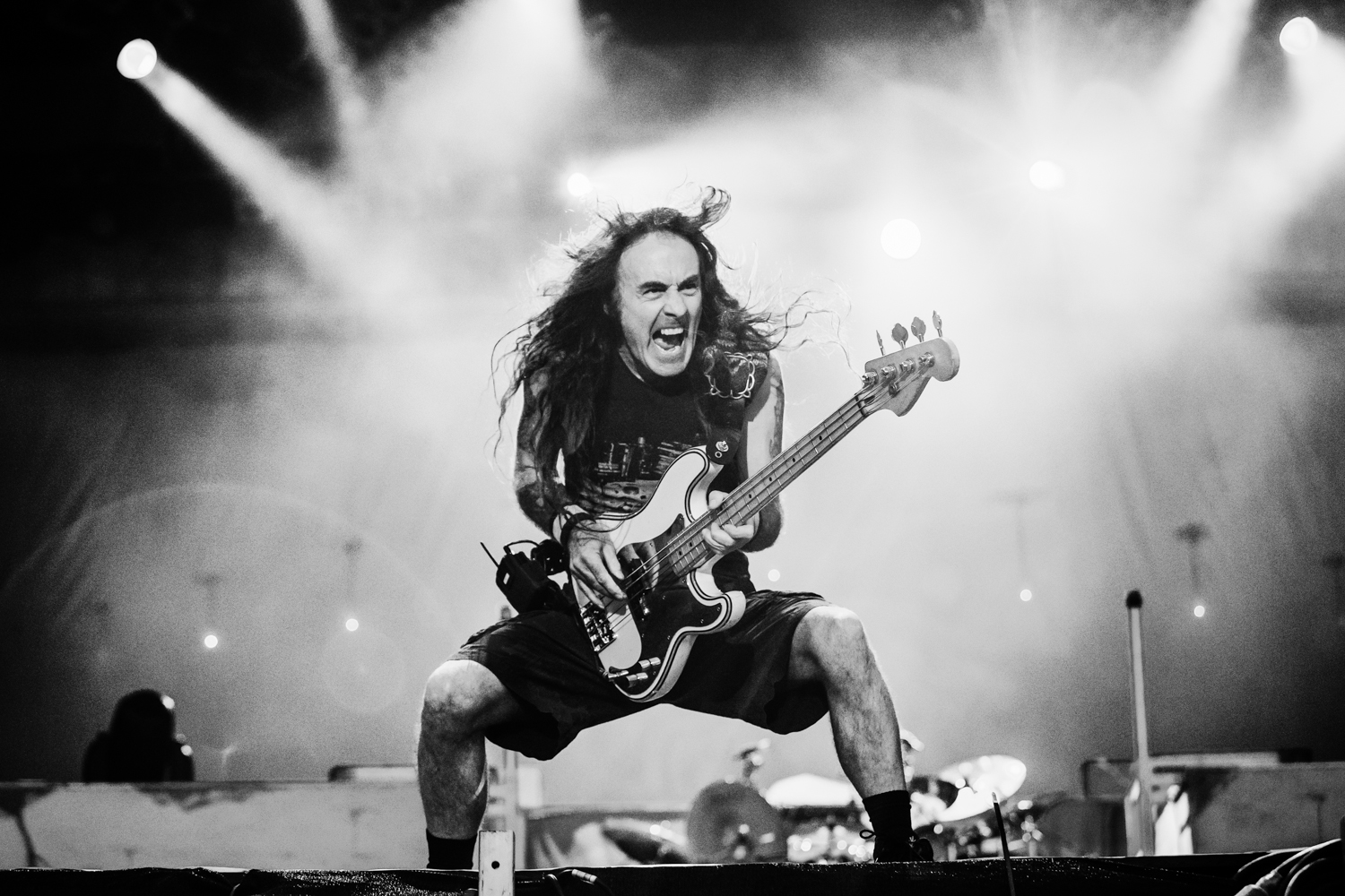 Steve Harris / Iron Maiden