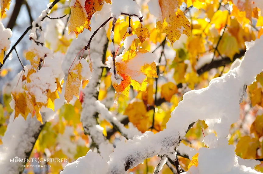 October Snow