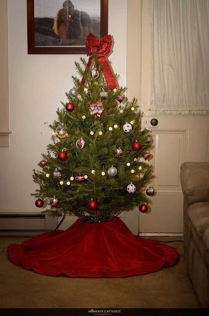 Our First Tree