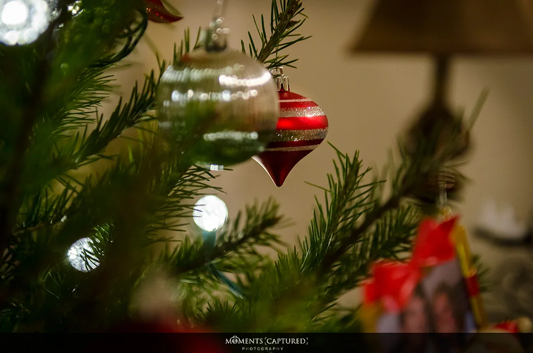 Lovely hanging ornaments