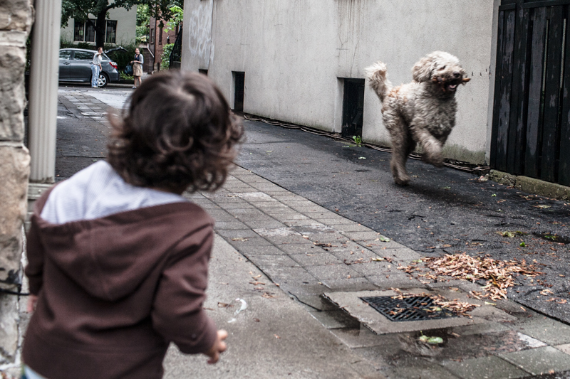Rito fetching. Toronto, 2012.
