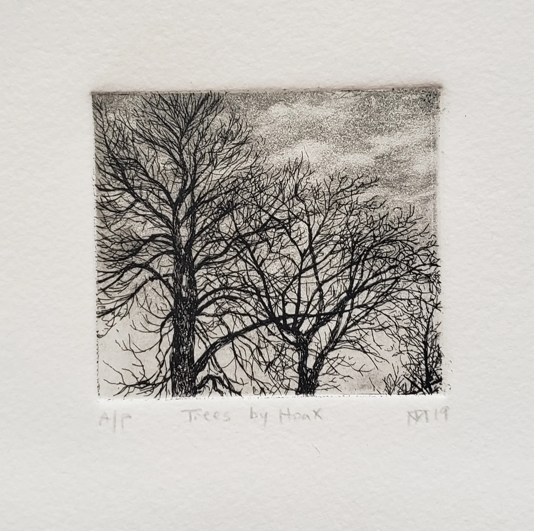 Trees by Hoax Gallery