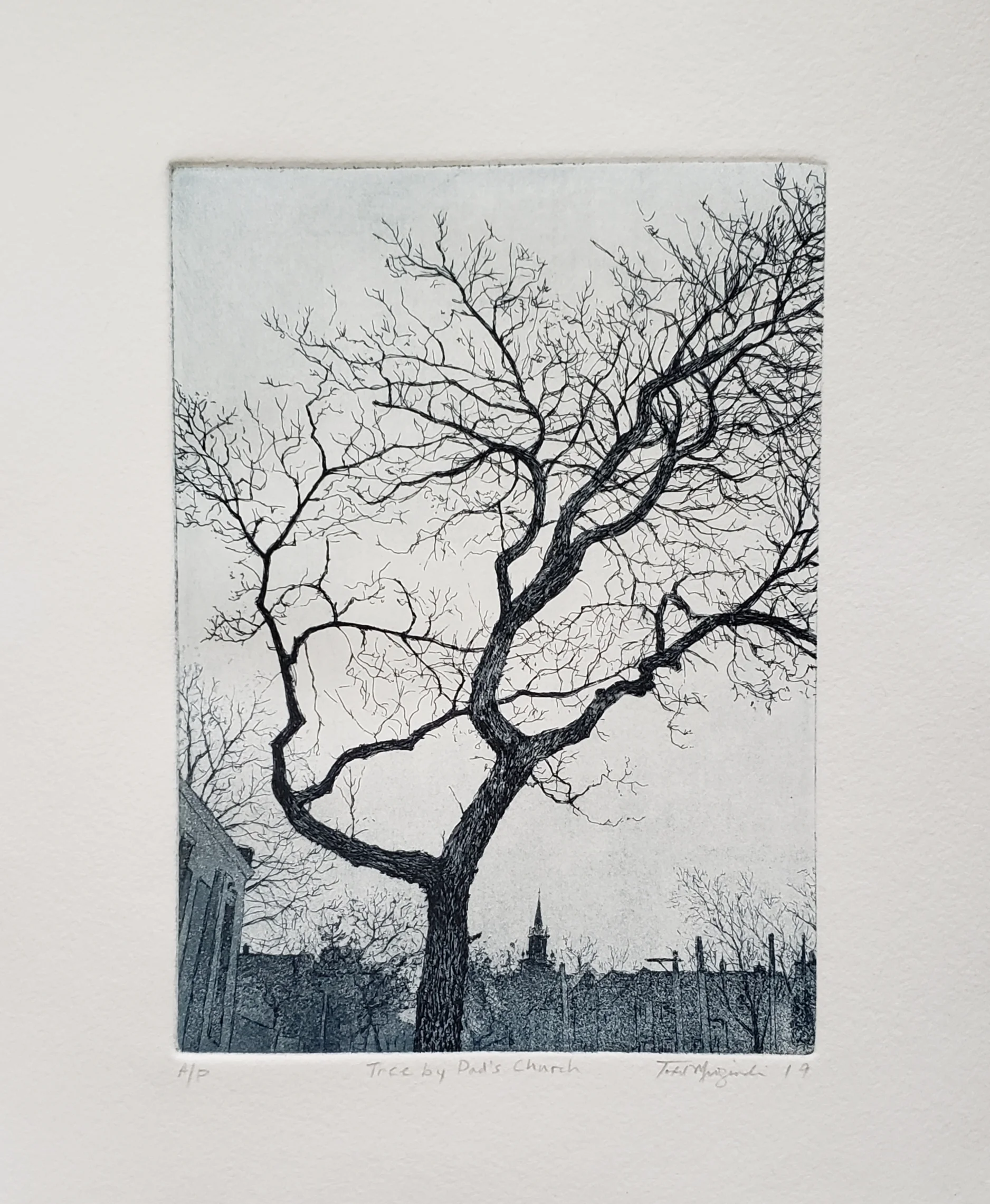 Tree by Dad's Church