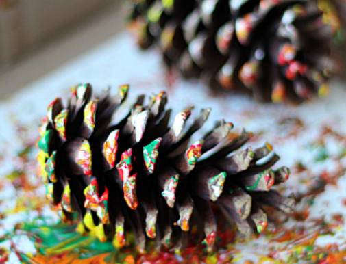 In the Studio: Prints with Pinecones