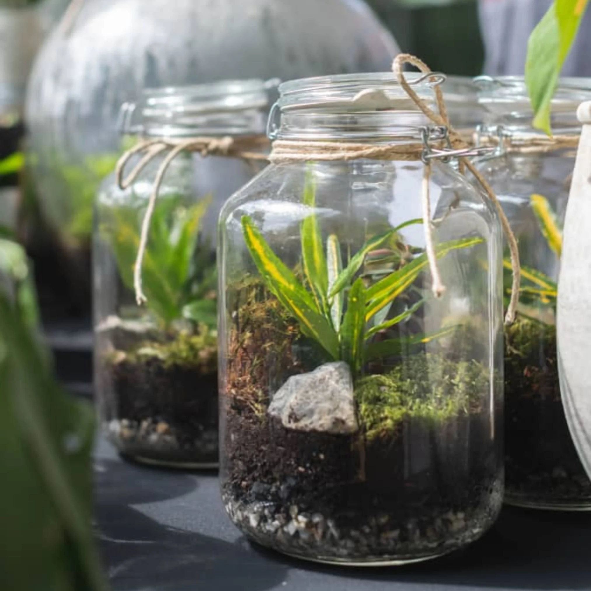 Join us this Saturday, April 18th from 11:30 AM to 1:30 PM to build your very own terrarium 🌱💧

Kids can layer, plant, and design a tiny ecosystem to take home and watch grow 🌼 It&rsquo;s a hands on way to explore nature, get creative, and play wi
