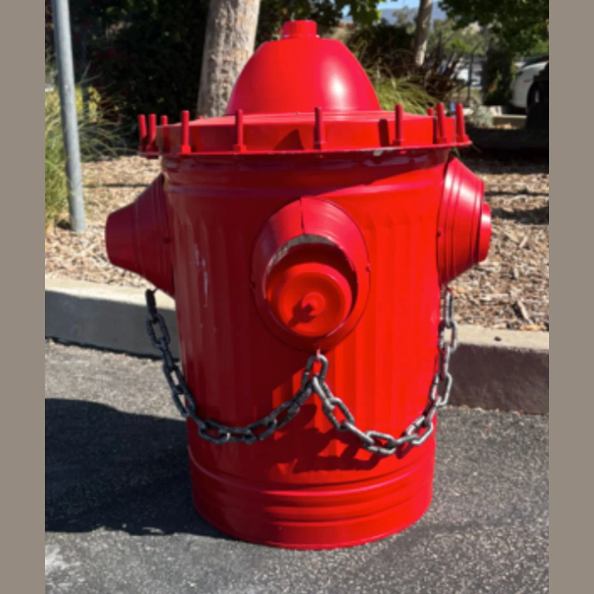 Community Pet Pantry