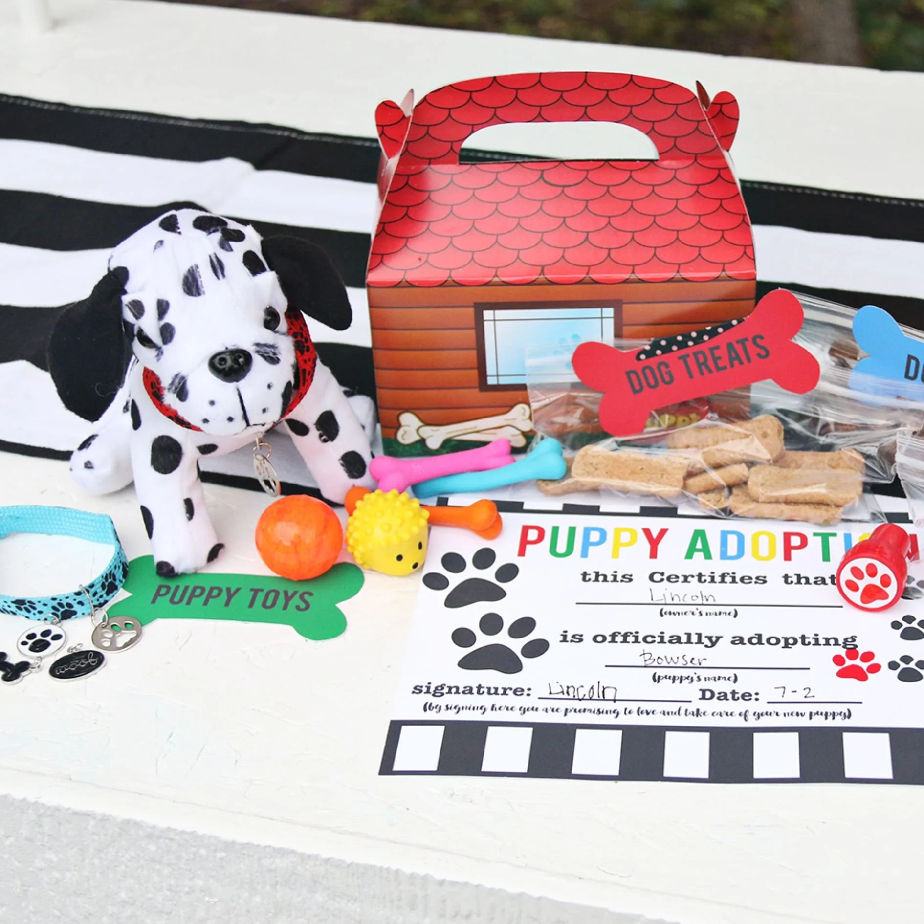 The Great Puppy Project