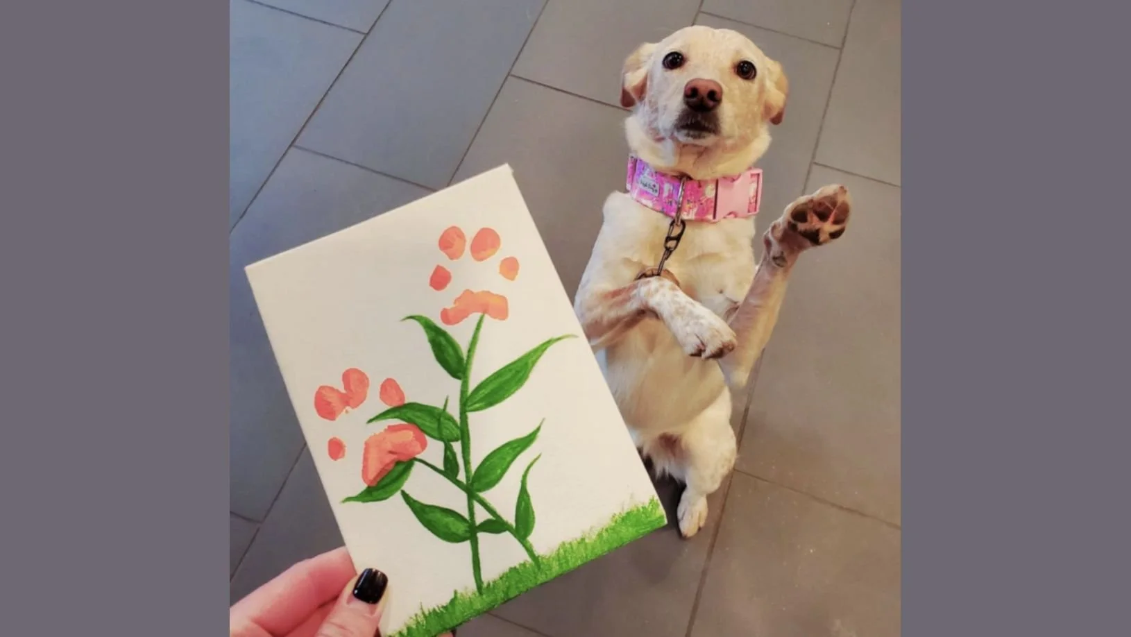 In The Studio: Dog Paw Print Garden