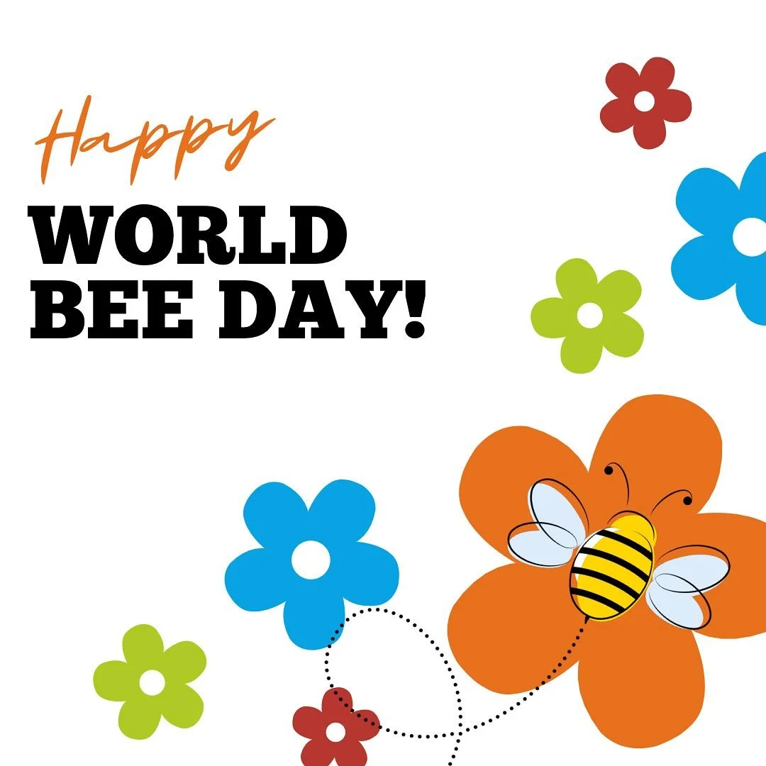 Happy World Bee Day! 🐝 

This summer&rsquo;s programs are going to be all about bees. Stay tuned for bee-themed activities &amp; plenty of buzz-worthy fun!