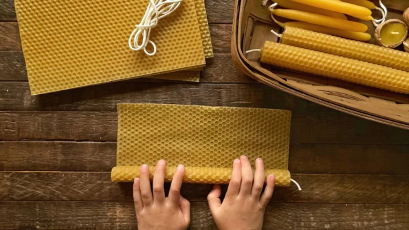 In the Studio: Beeswax Candle-Making 🐝