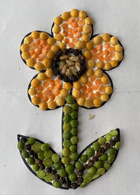 Seed Mosaic Art