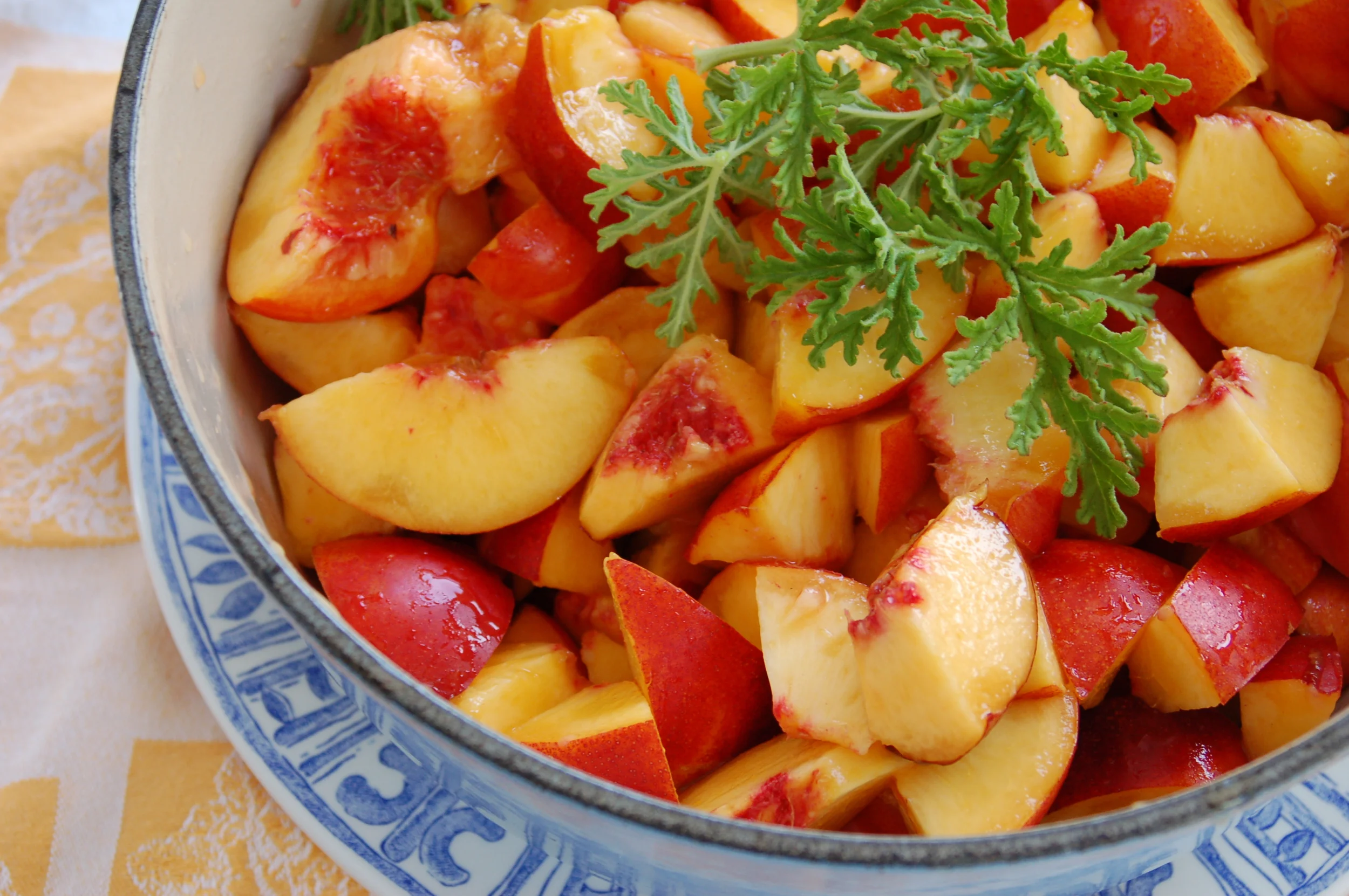 Nectarines. Photo by Melissa A. Trainer