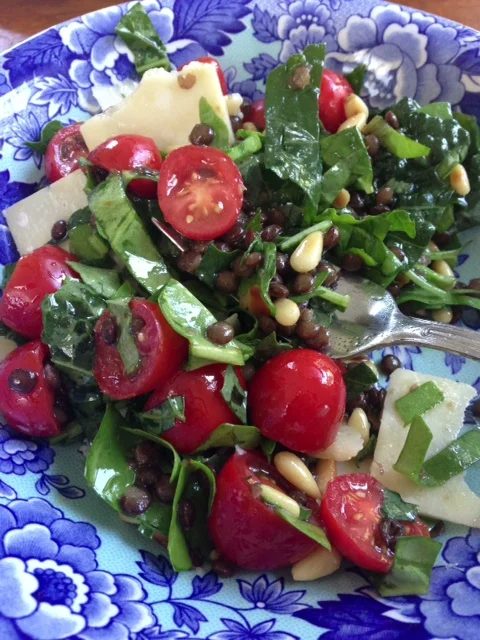 Lentil, Kale and Baby Beet Green Salad