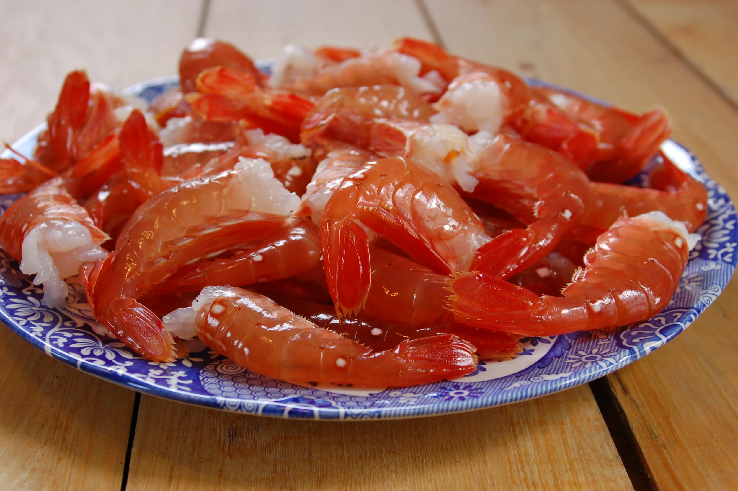 Puget Sound Spot Prawns