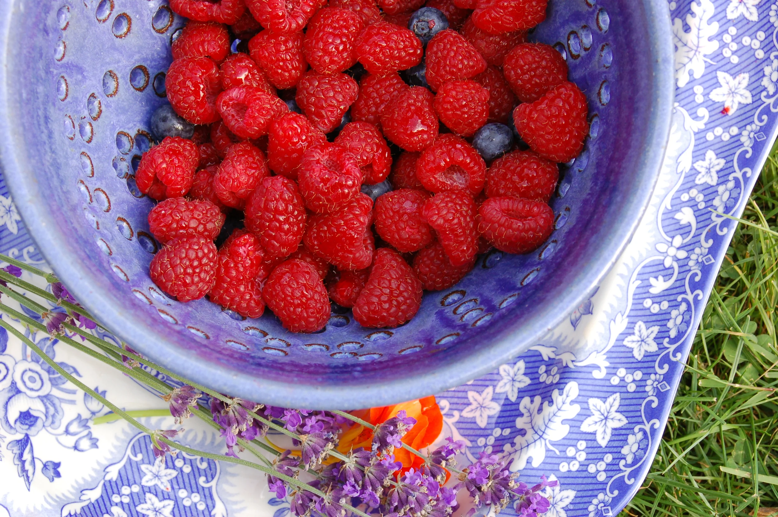 Beautiful Raspberries...a Northwest Specialty