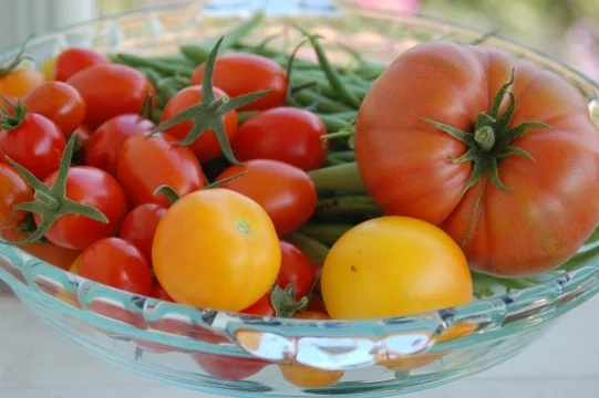 Garden Tomatoes.jpg