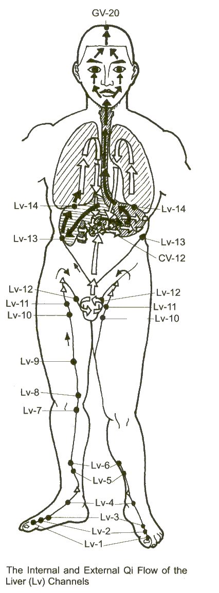 liver-clear1.jpg