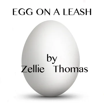 Egg on a Leash is a play that explores the danger of convention and routine through the affair between a man and a woman.
