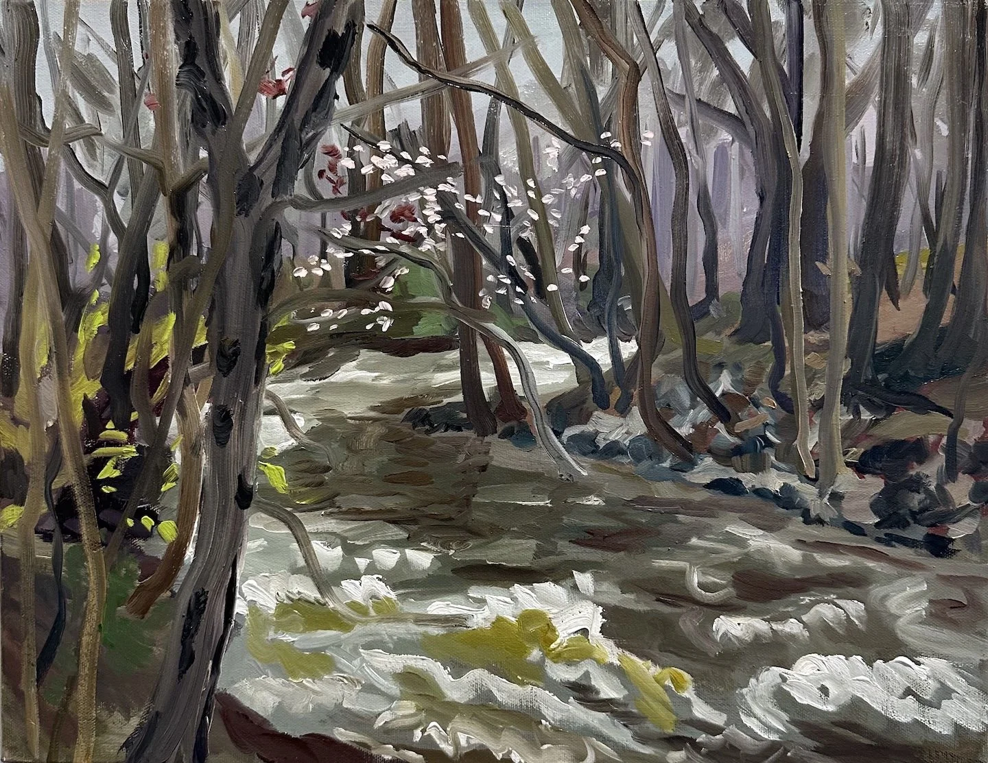 EmiWinterApril3,2024SouthMountainReservation copy.jpg