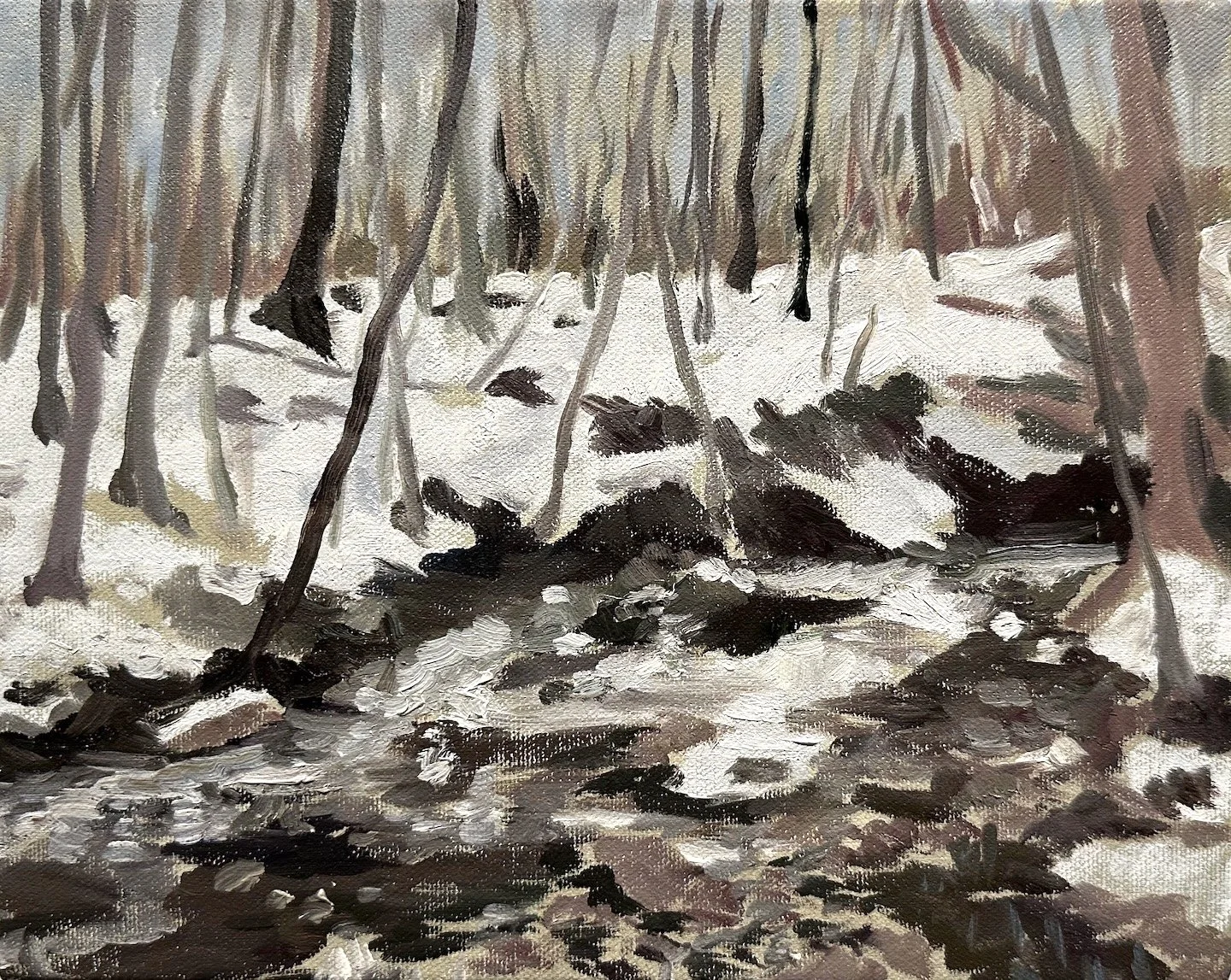 EmiWinterFebruary22(1)2024SouthMountainReservation copy.jpg