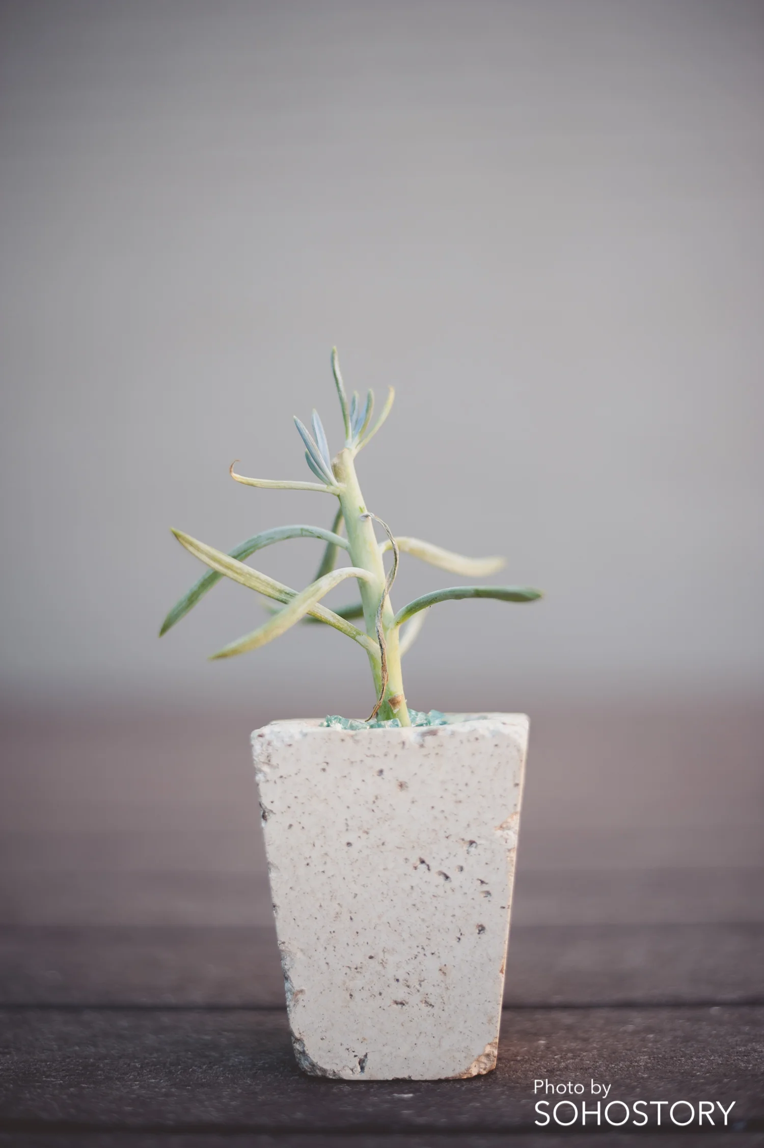"I'm still growing"