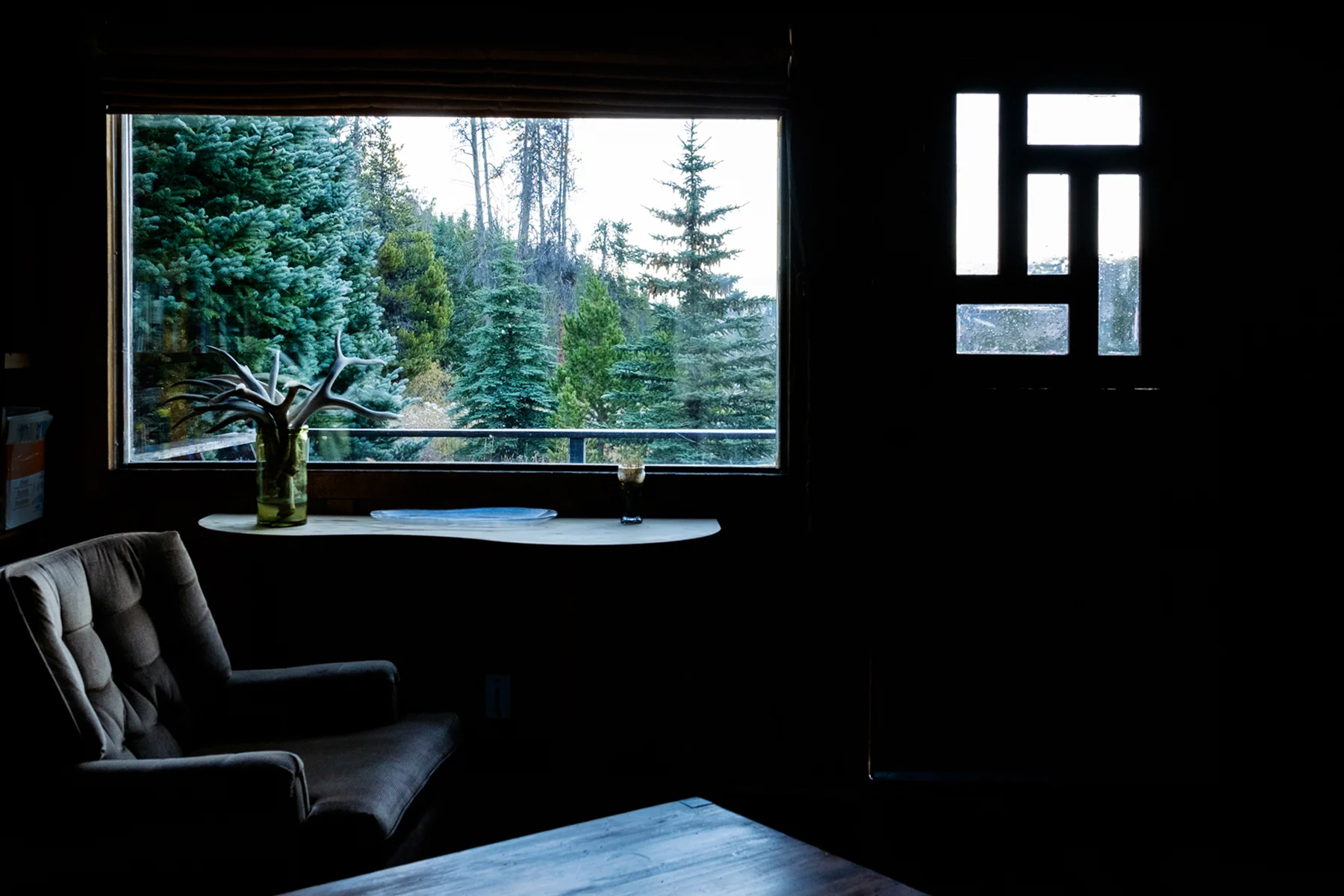 The view from the window of our Airbnb cabin's den.