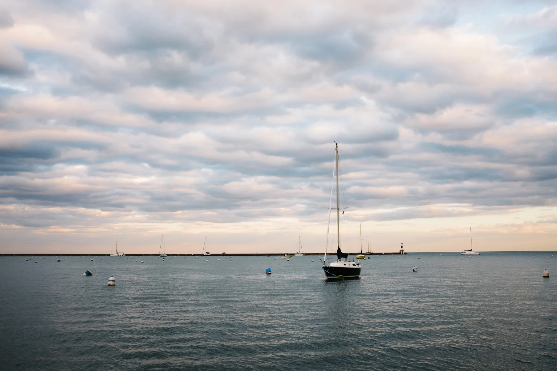 A view from the Navy Pier.