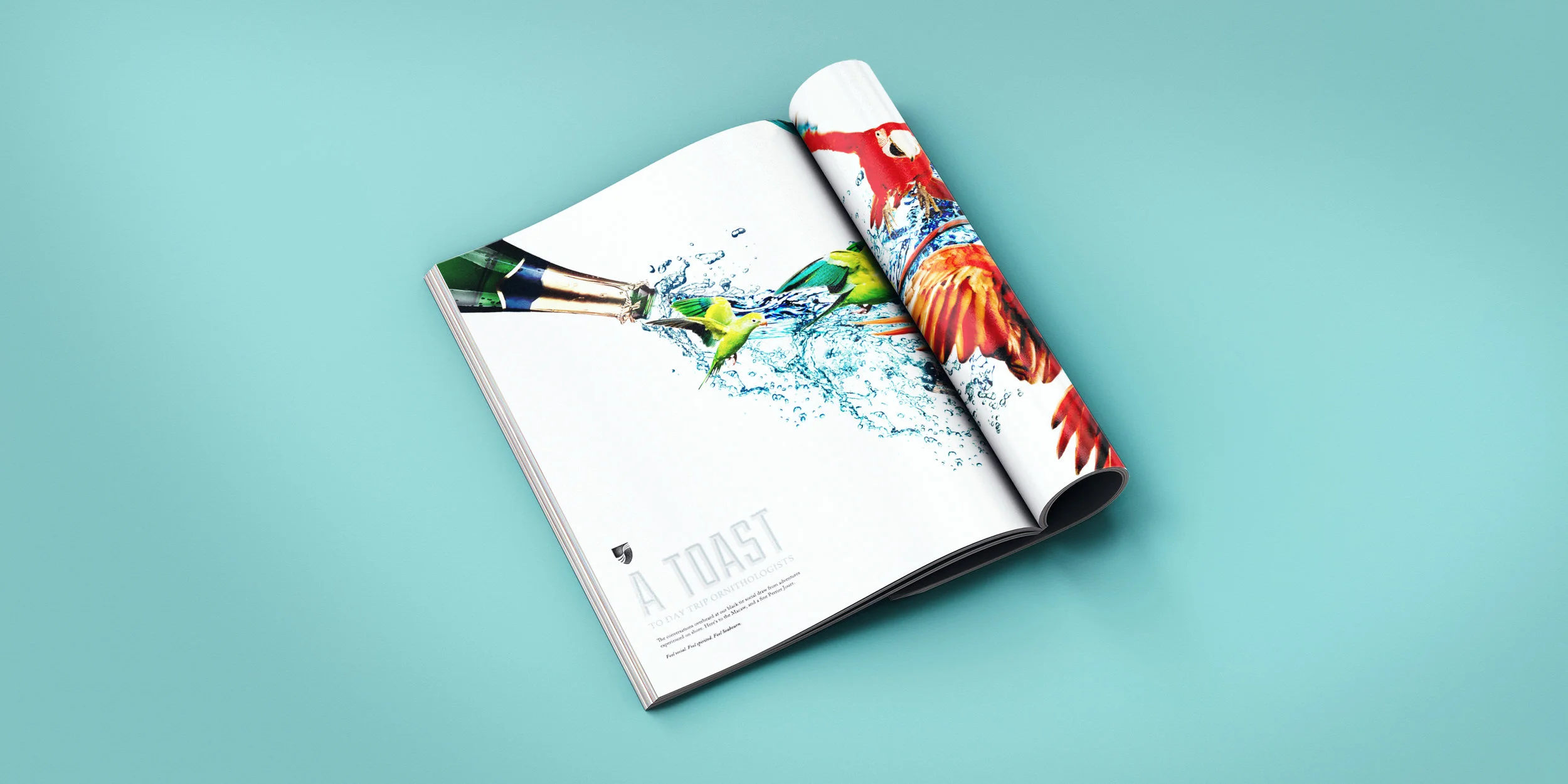 Seabourn_Feel_0000_1_Magazine.jpg