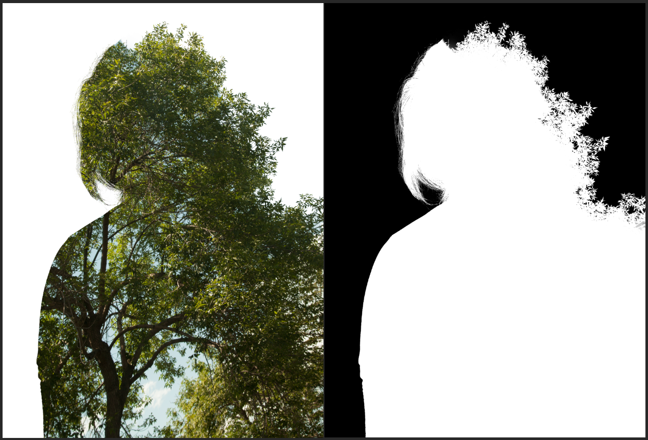I increased the contrast on the mask again to make the mask shape around the leaves as vivid and sharp as possible. 