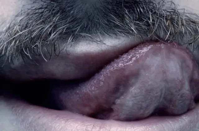 ignis_0003_Layer 4.jpg