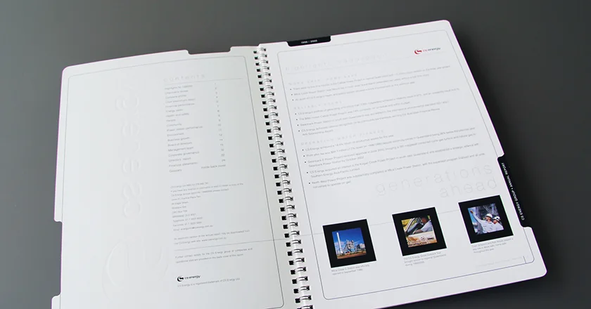 C S Energy Annual Report CLIENT: Gabee Reyes CONCEPT: Sid Guglielmino DESIGN: Sid Guglielmino AGENCY: GDC