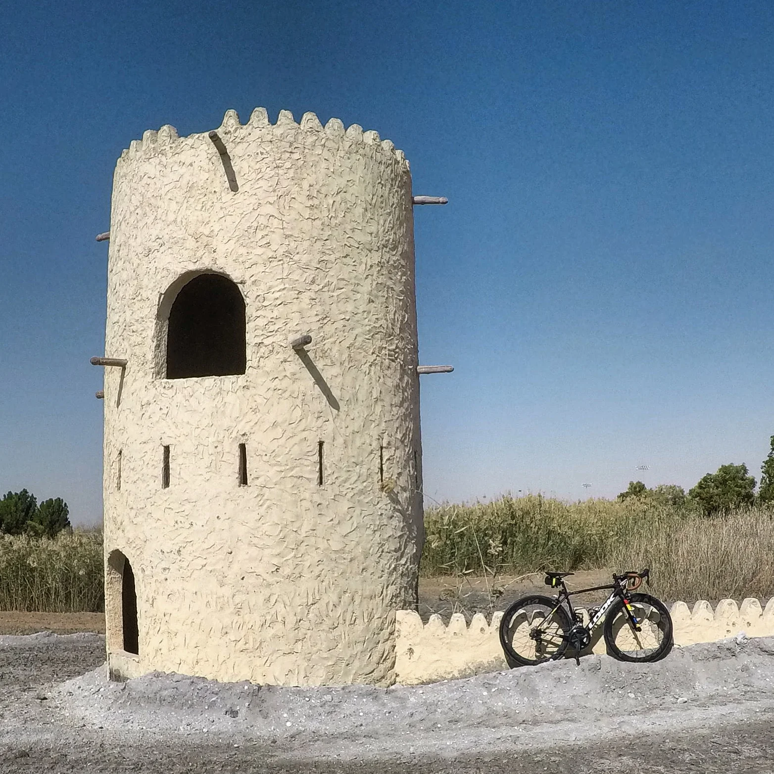 Al Jihad Stables, Dubai UAE