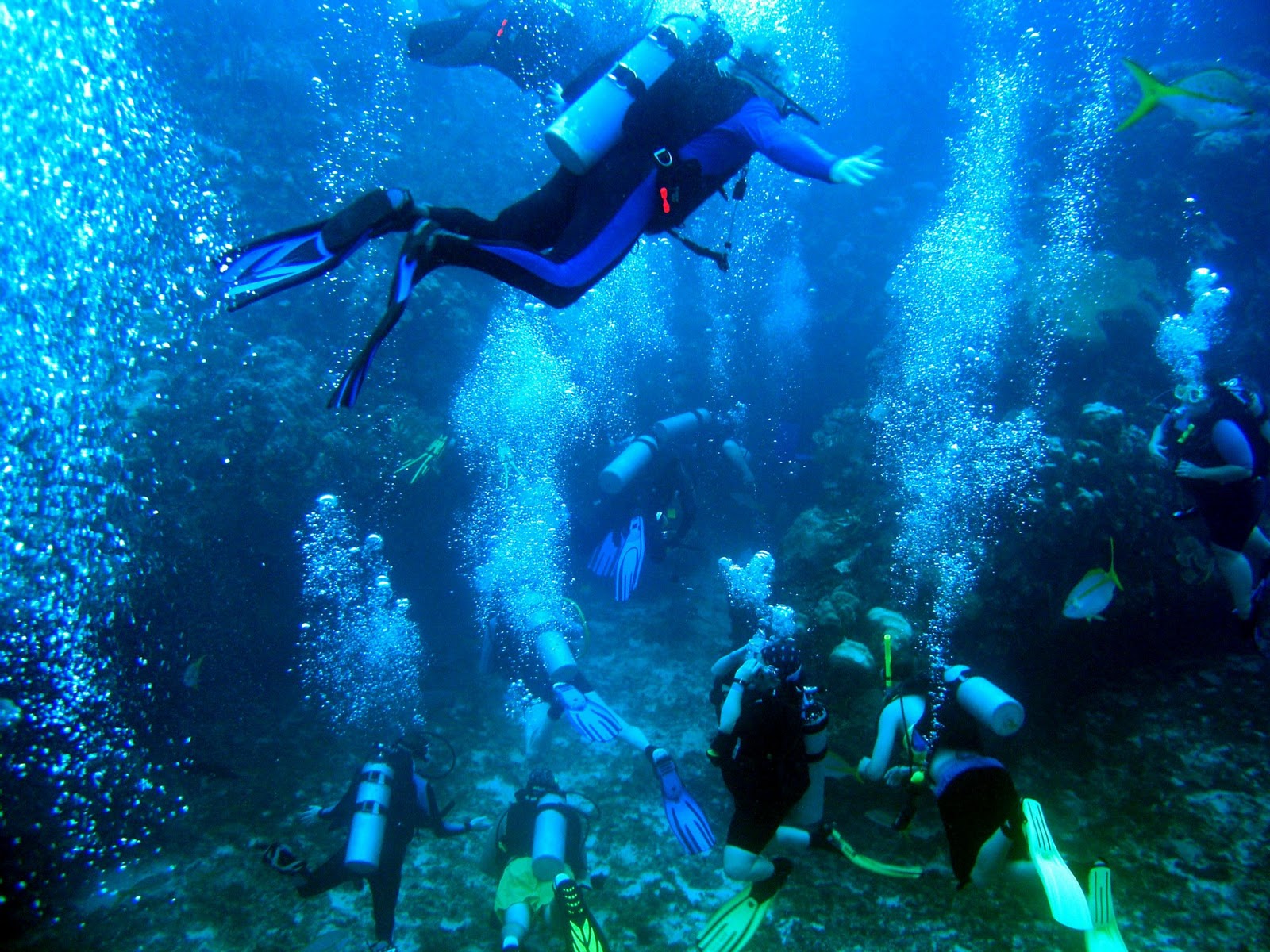 Scuba Diving in Belize.jpg