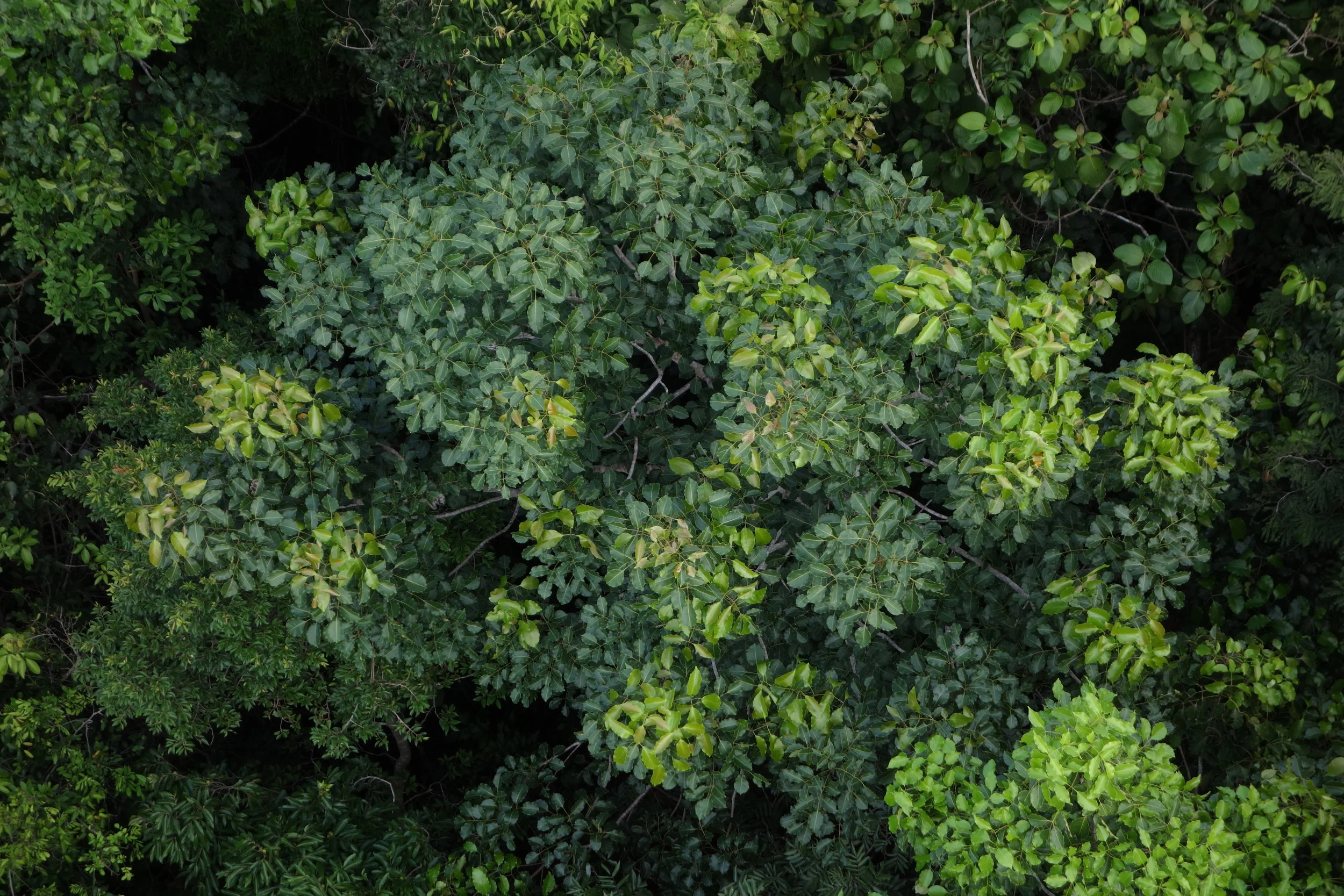DSC01123.JPG