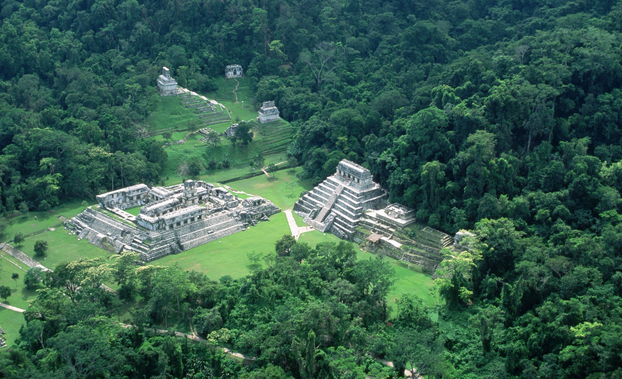 aerial-view-palenque.jpg
