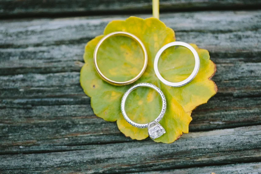three-rings-photo-before-wedding-on-leaf