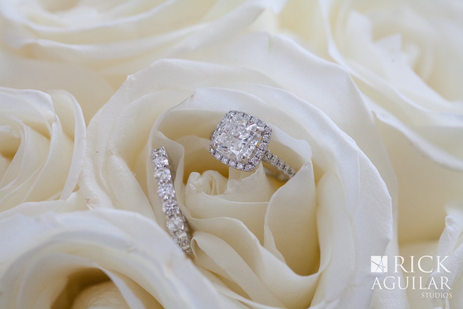 rings-in-roses-sofitel-chicago-ballroom-wedding-painter-wedding-artist-ben-keys