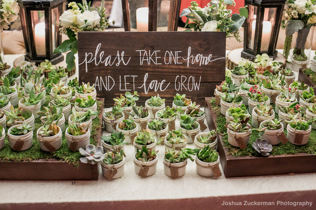 Jenny + Adam gifted each guest with a potted succulent!  What a unique wedding favor!