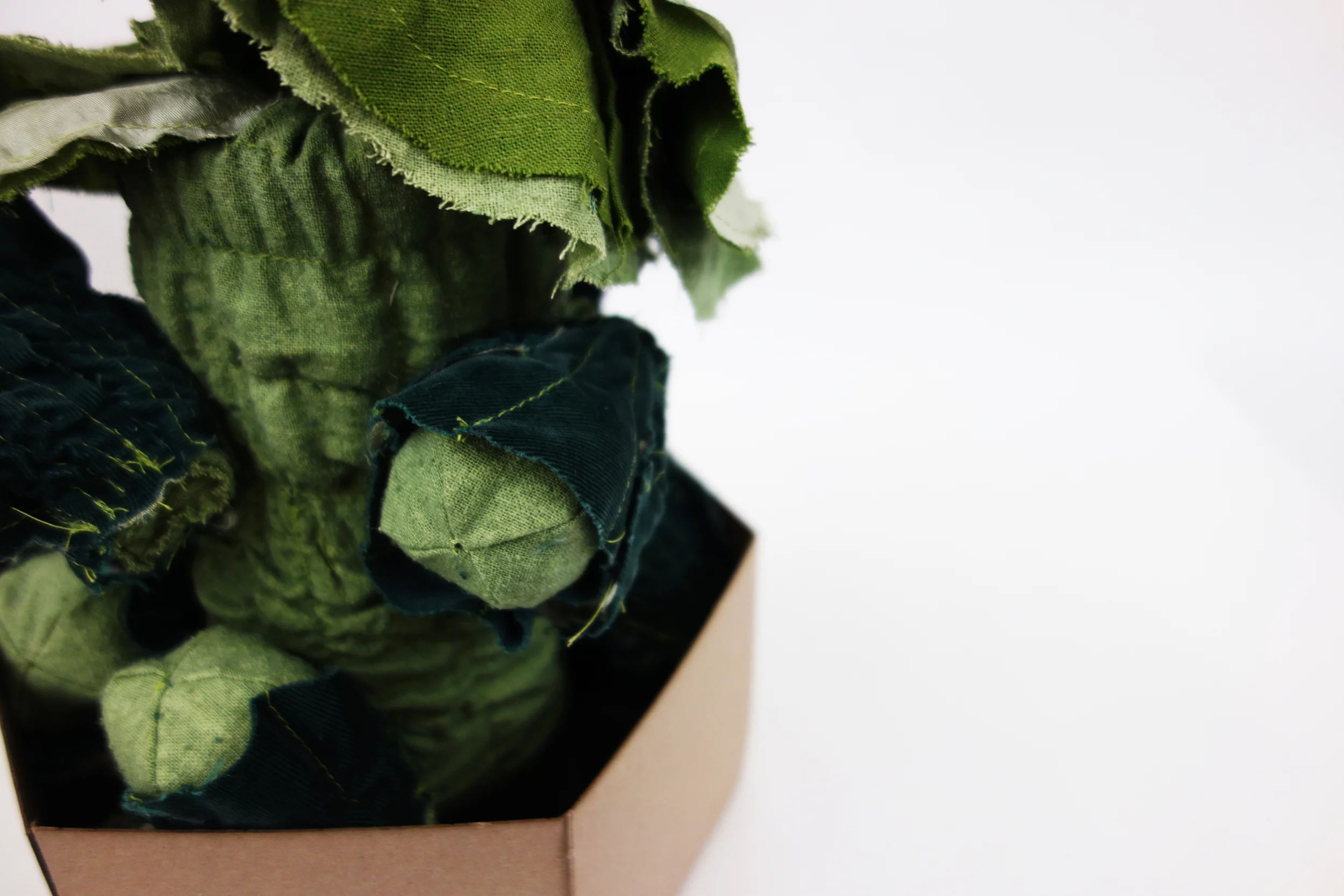 brussel sprout.jpg