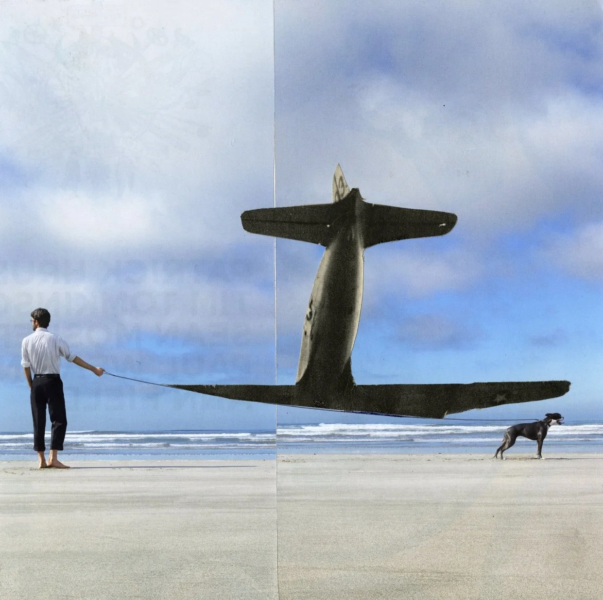 plane collage023.jpg