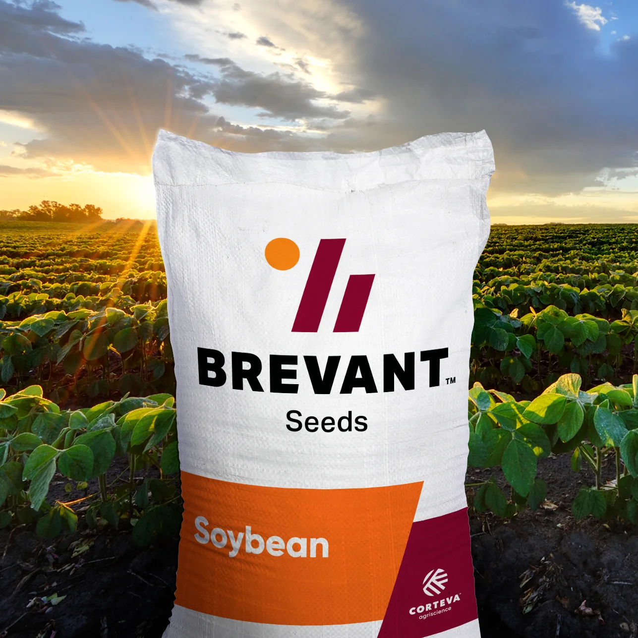 SeedBagMockup.jpg