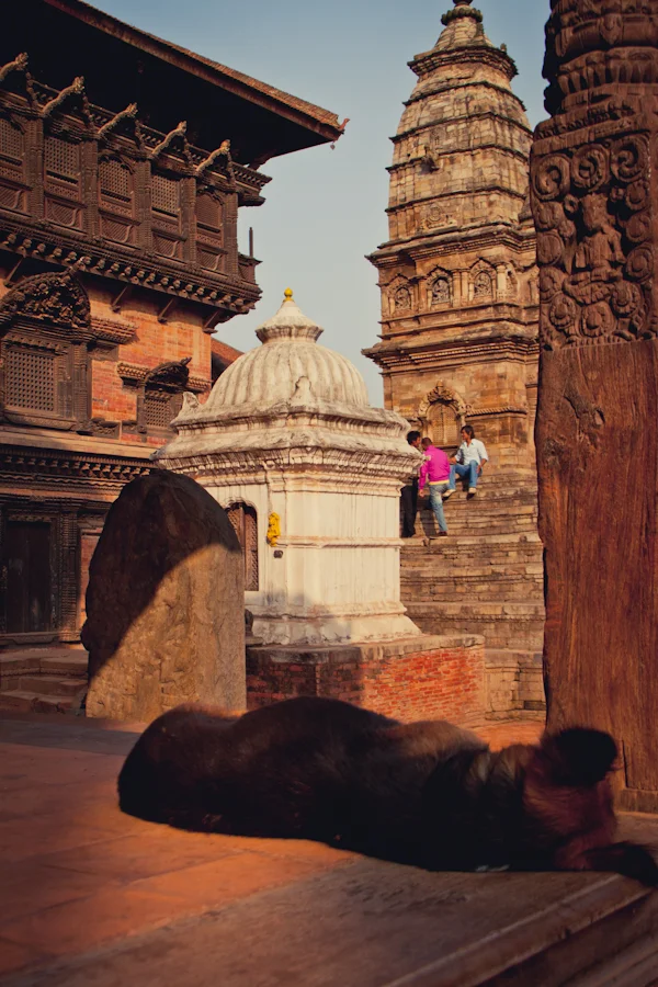 a homeless dog sleeps in one of the temples in Bhaktapur, Nepal.jpg