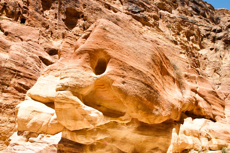 face on a rock.jpg