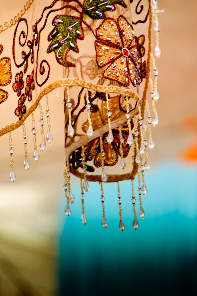delicate embroidery details on shawl.jpg